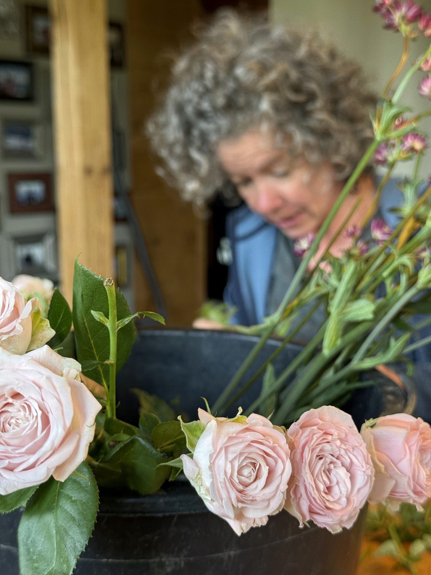 Zartrosa Rosen, Karin bei der Arbeit